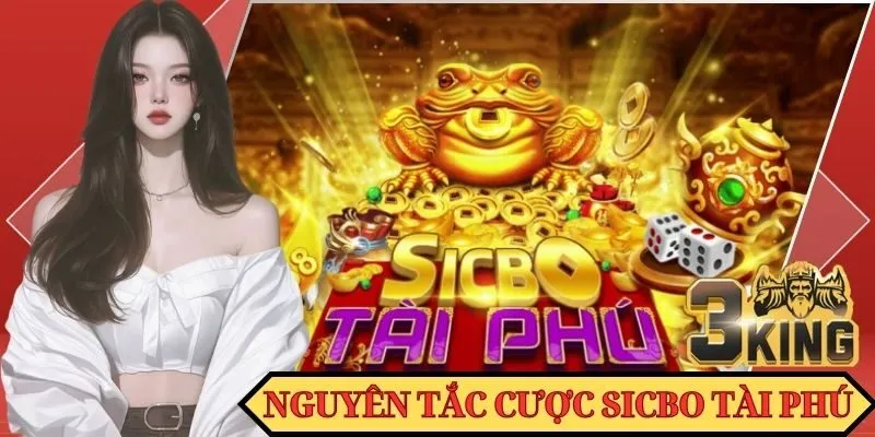 Nguyên tắc cần nắm rõ trong Tài Phú Sicbo 2025